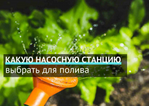 Какую насосную станцию выбрать для полива Какую насосную станцию выбрать для полива