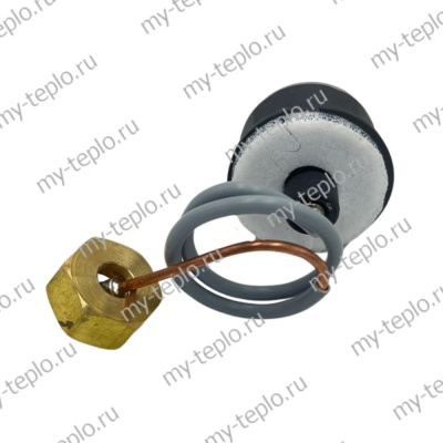 Манометр для котлов Baxi FOURTECH (KTmanomFOURT)